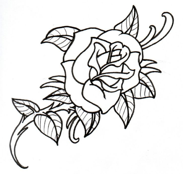 Rose Tattoo Designs | Florist Wall