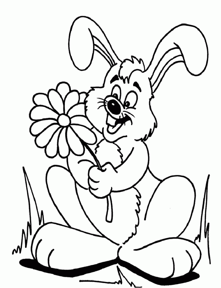 Rabbit Pictures For Kids - Coloring Home