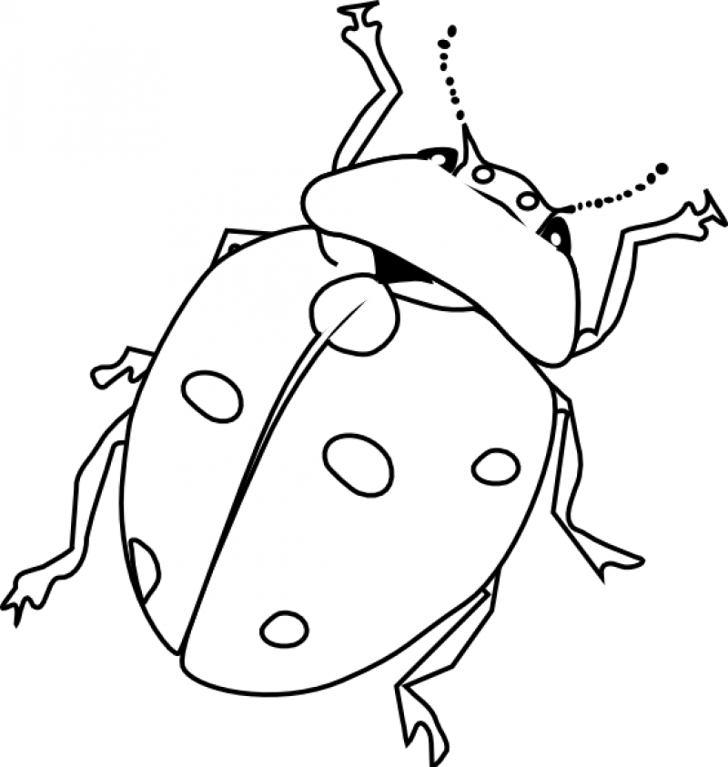 Bug Coloring Pages To Print - HD Printable Coloring Pages