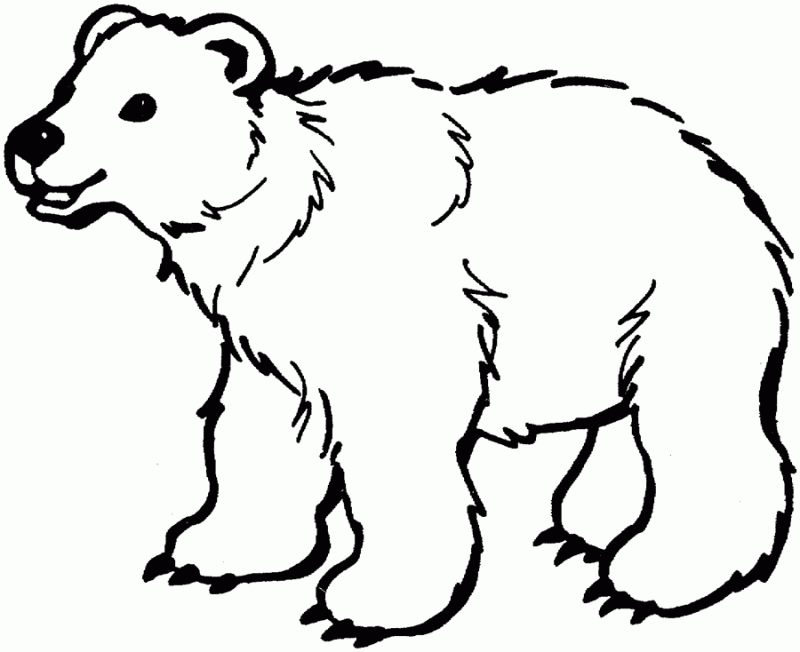 Polar Bear Coloring Pages - HD Printable Coloring Pages