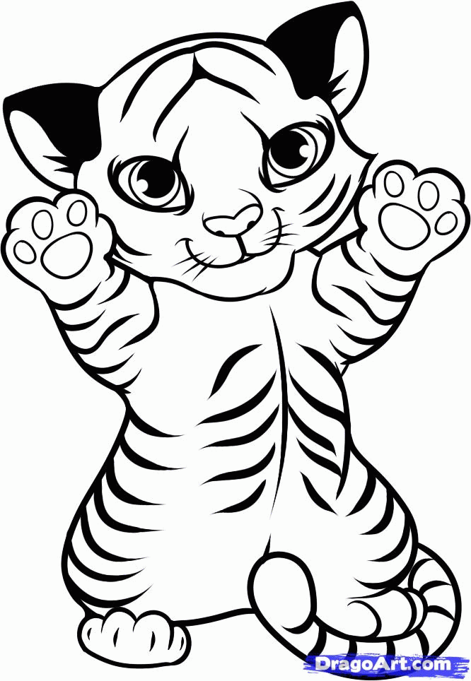 Draw A Tiger Cub, Tiger Cub, Step By Step, Drawing Sheets, Added - Coloring  Home