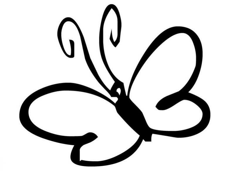 mariposa-n-24-33785.jpg
