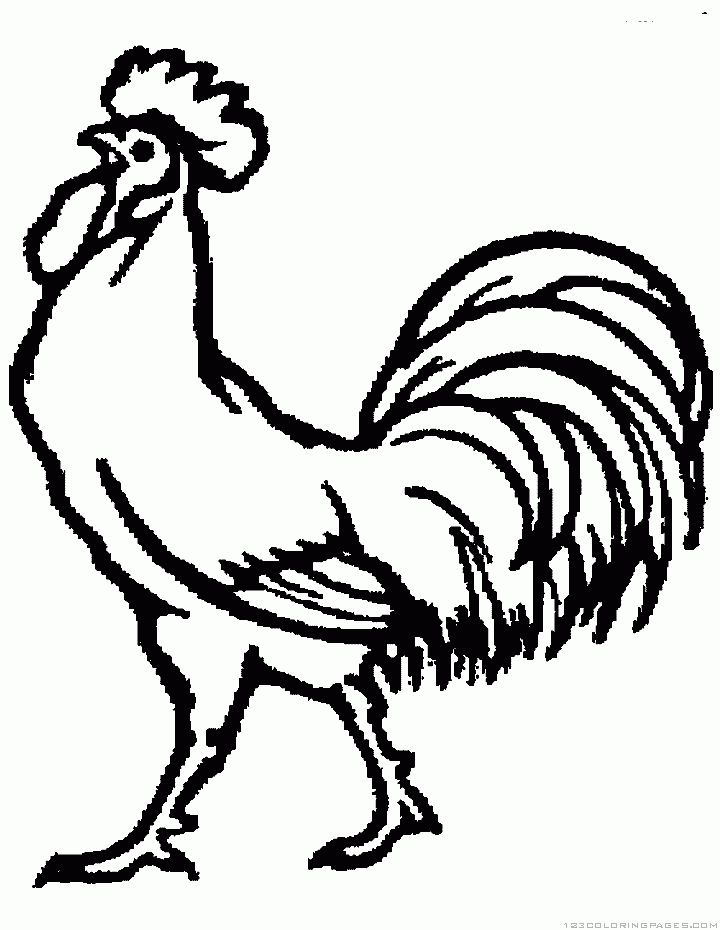 Rooster Coloring Pages - Part 2