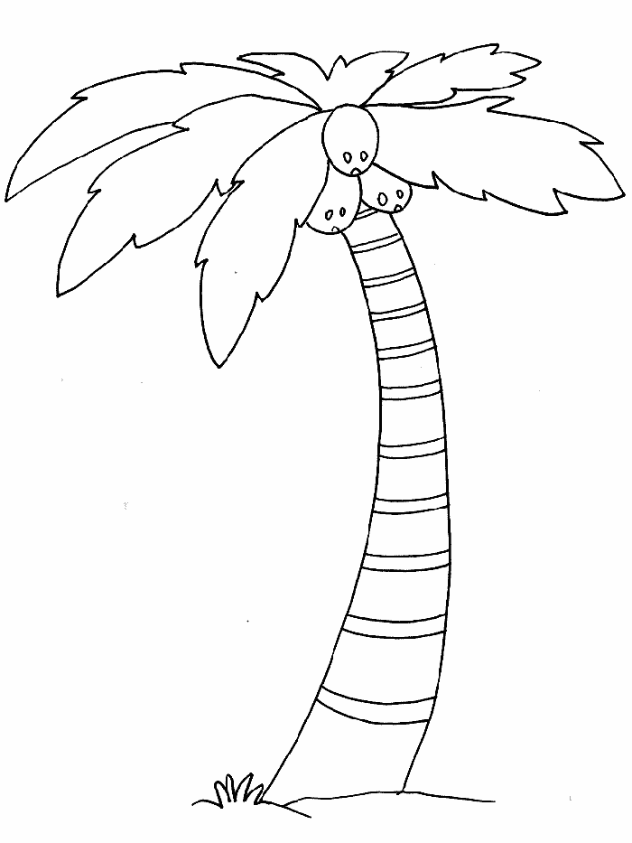 palm tree coloring pages for kids