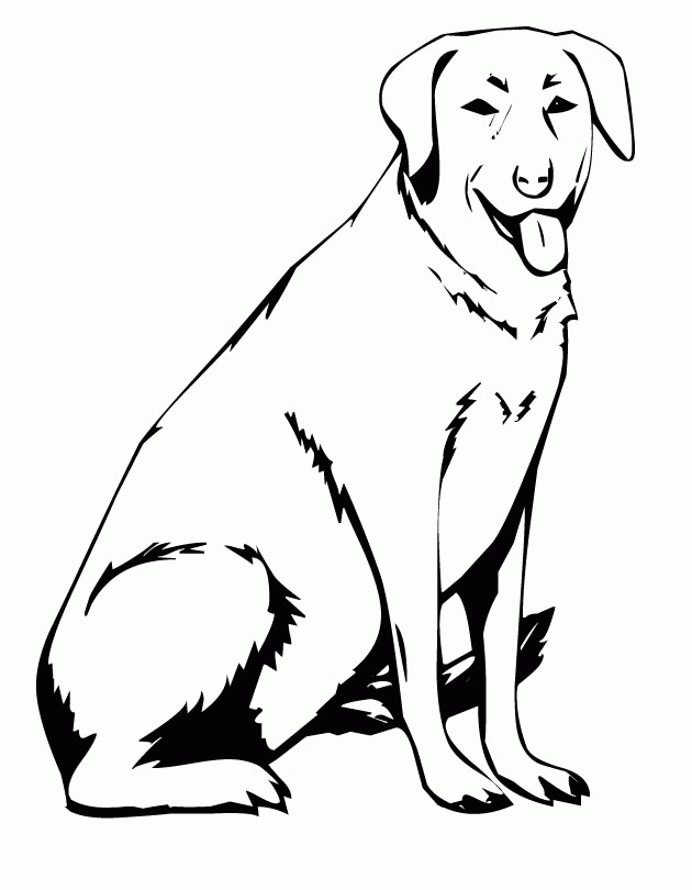 printable dog labrador coloring page from freshcoloring com 
