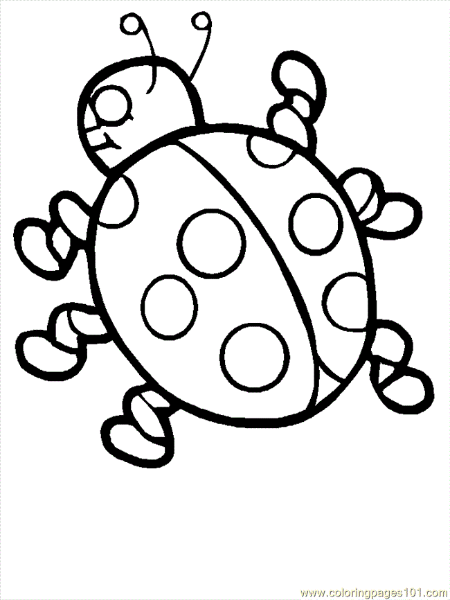 Coloring Pages ladybugs (Insects > ladybugs) - free printable 