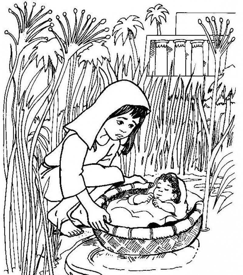 Baby Moses Being Accompanied By Young Children Coloring Page 