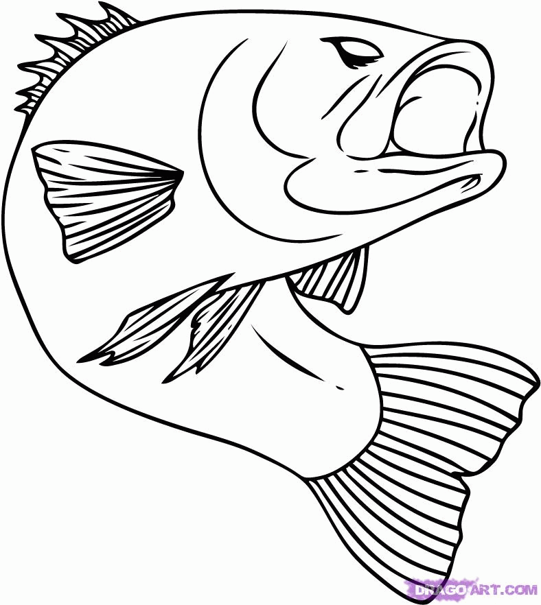 Bass Fish Coloring Pages - Coloring Home