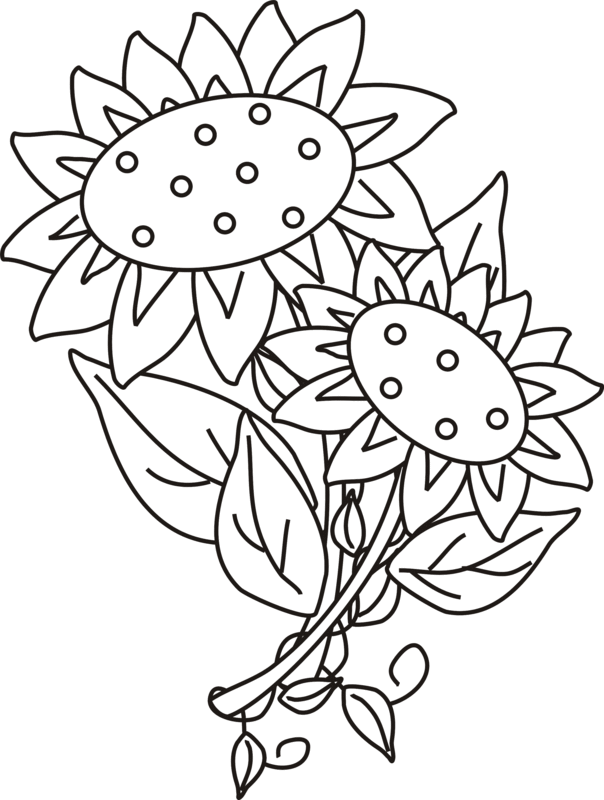 Two Sunflowers with Leaves Coloring Page | Greatest Coloring Book