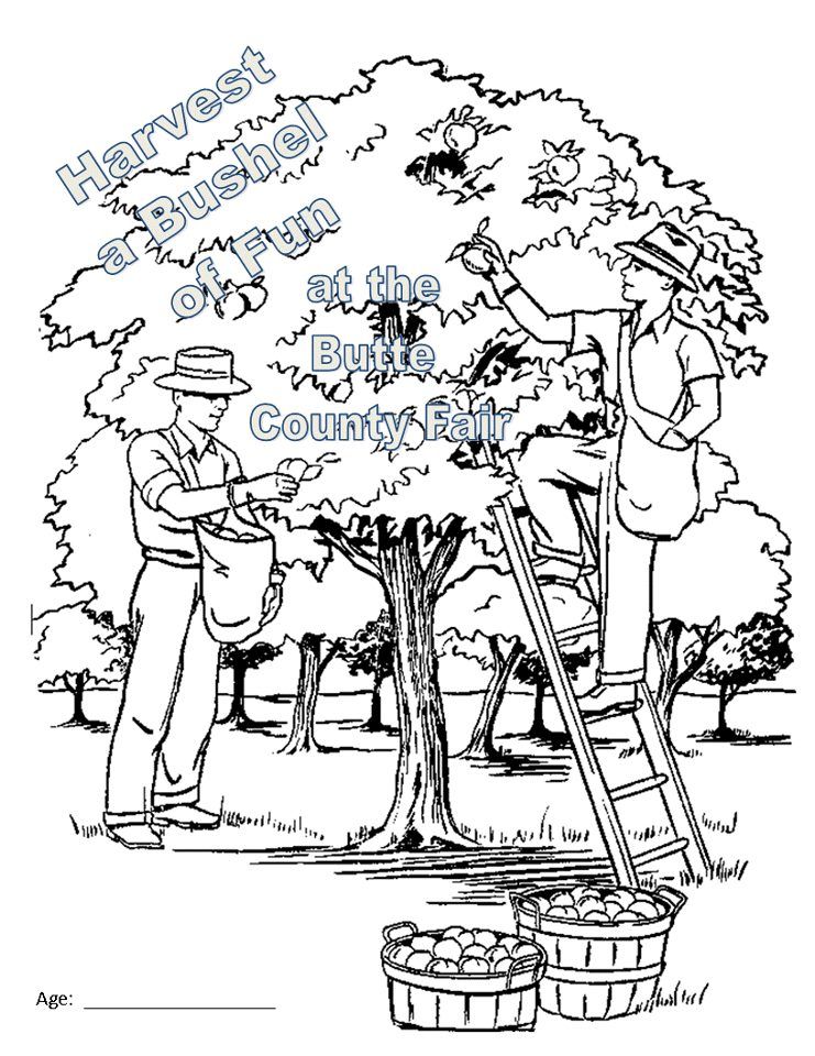 Coloring Contest for the 2013 Butte County Fair | Butte County 
