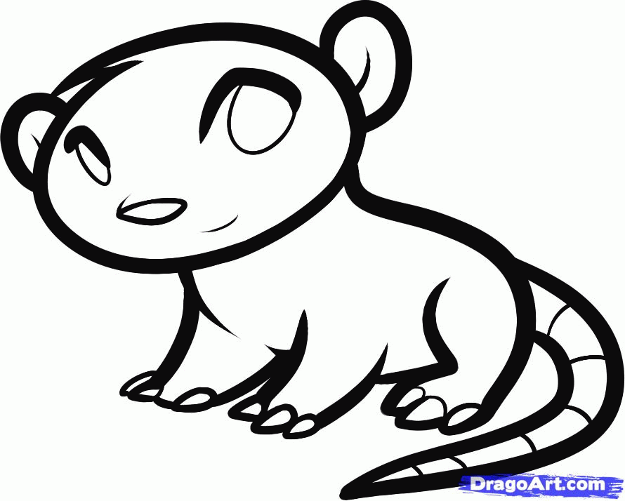 How to Draw a Possum for Kids, Step by Step, Animals For Kids, For 