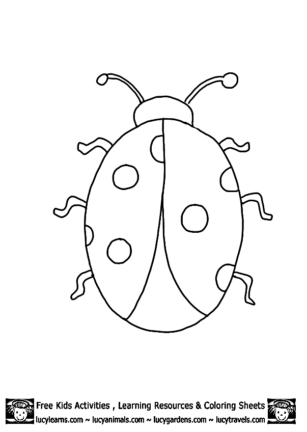 Ladybug Outline Template Printables | early childhood templates | Pin…