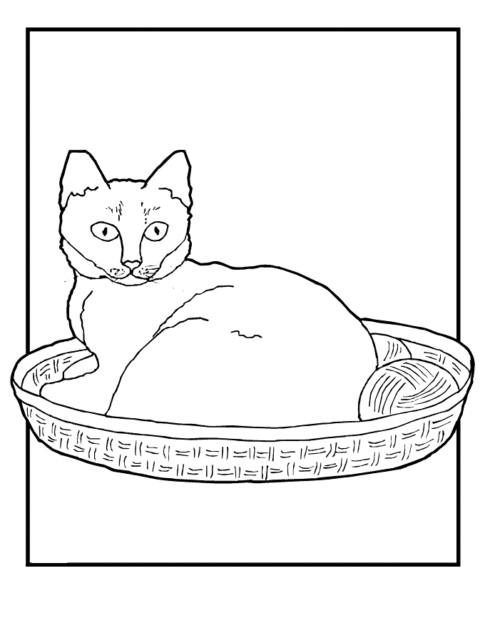 Kitten Coloring Pages for Kids- Coloring Book Pages for Kids