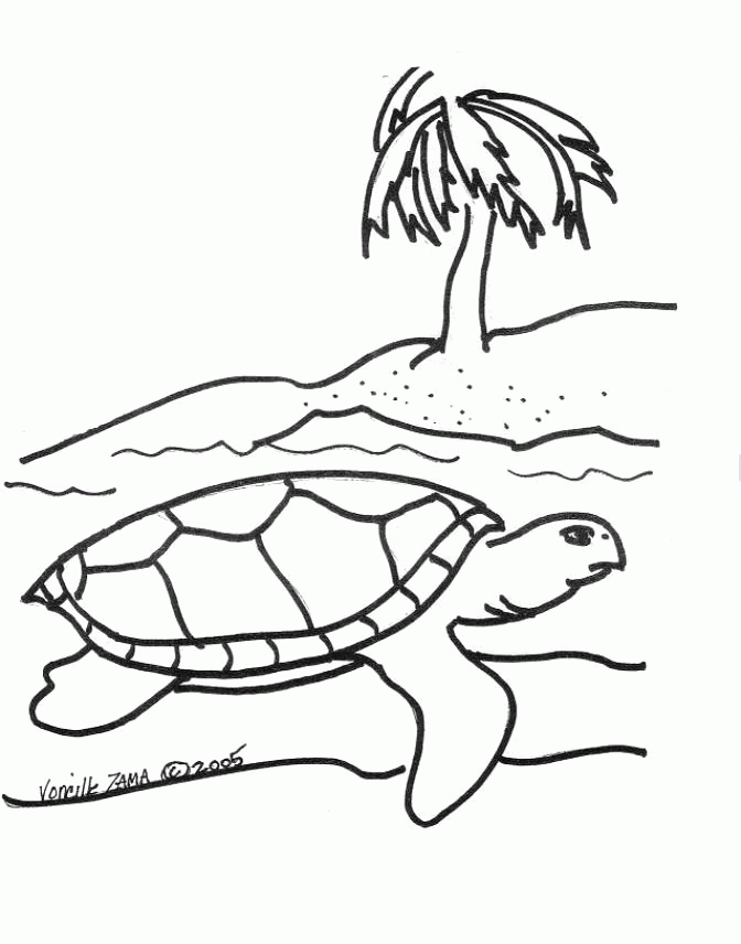 turtle Coloring Page 2