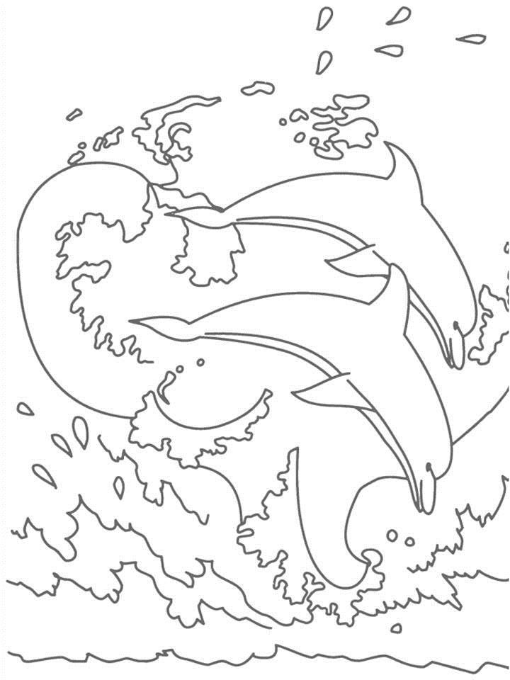 Dolphin Coloring page for kids: Dolphin Coloring page for kids