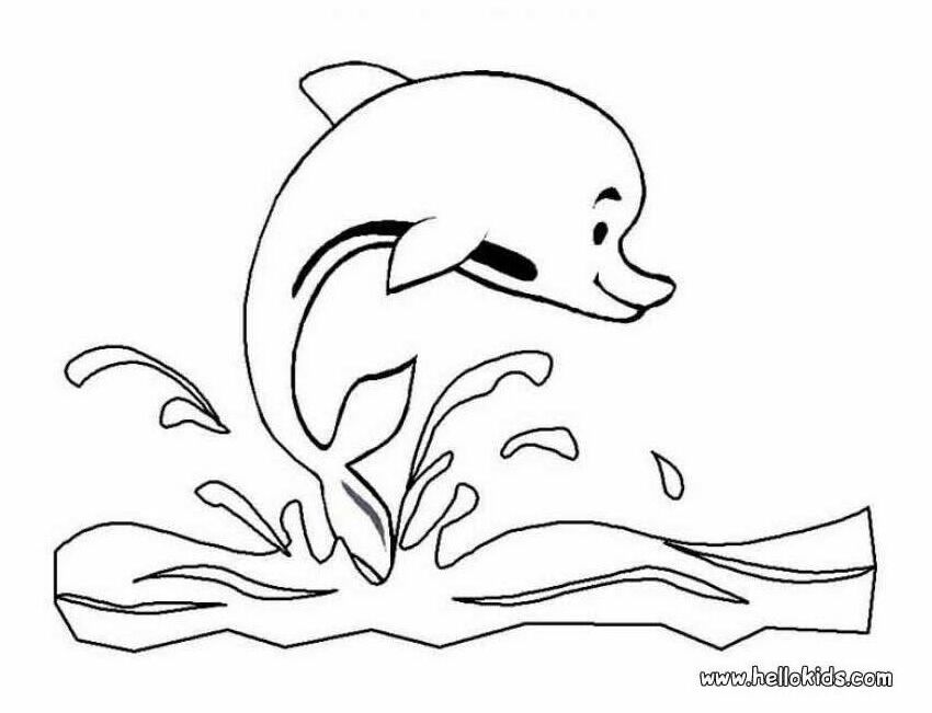 Baby Dolphin Coloring Pages For Kids Images & Pictures - Becuo