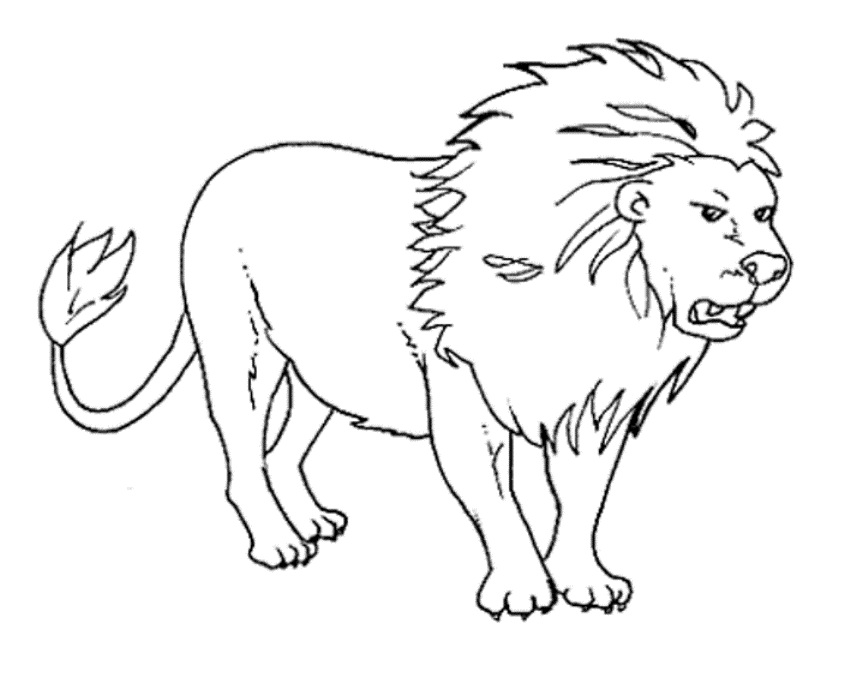 Simple Animal Colouring In Pages | Animal Coloring Pages 