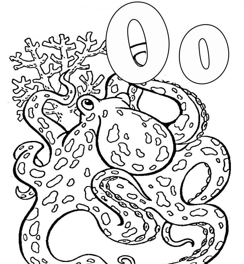Download Octopus Animal Alphabet Coloring Pages Or Print Octopus 