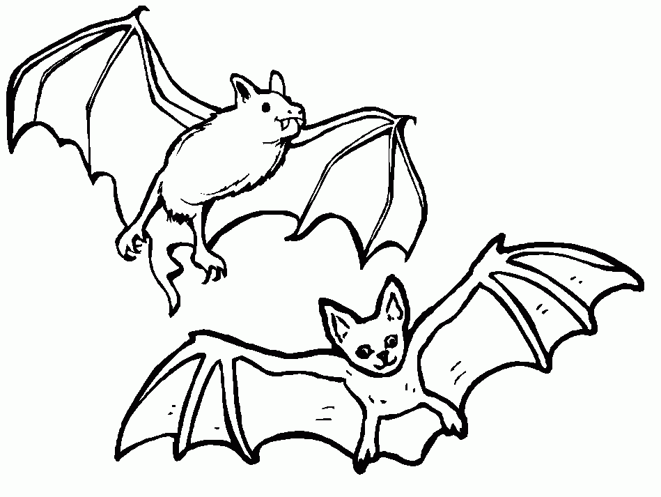 brown bat coloring page | Wild Kratts