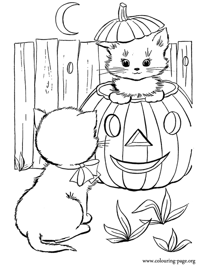 Halloween - Halloween pumpkin and two cute kittens coloring page