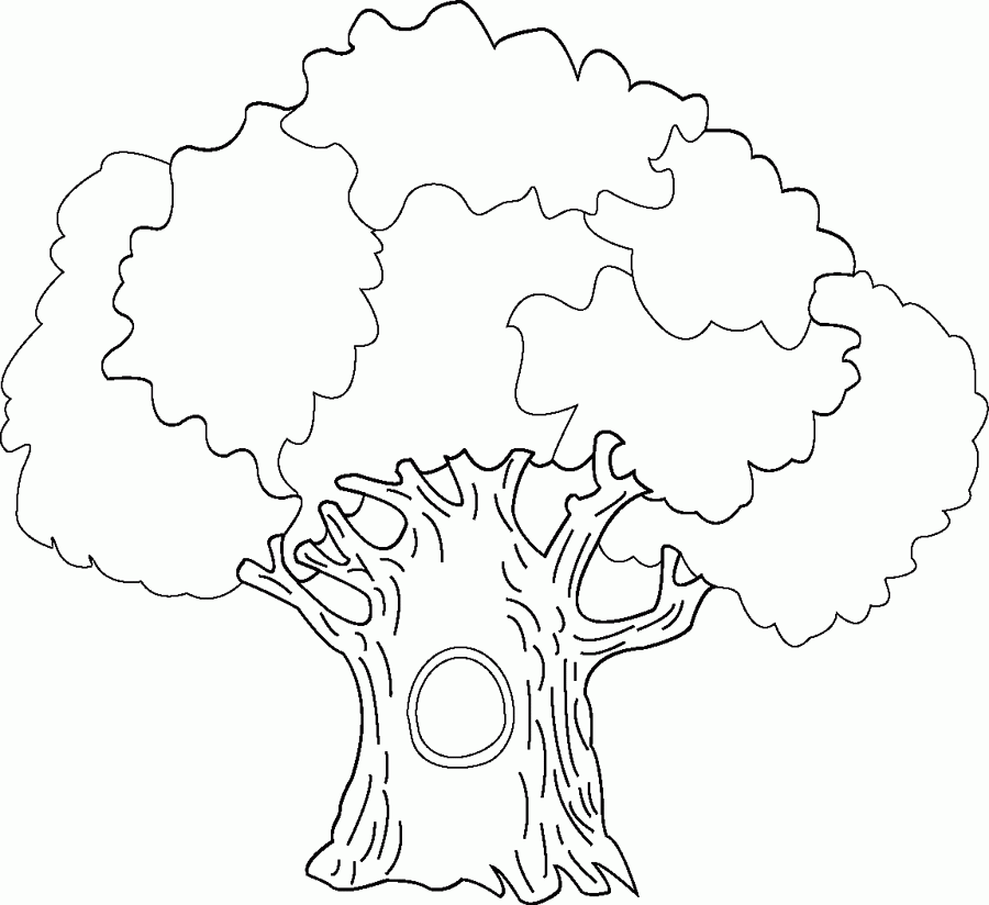Big Tree Coloring Page - Tree Coloring Pages : Coloring Pages for 