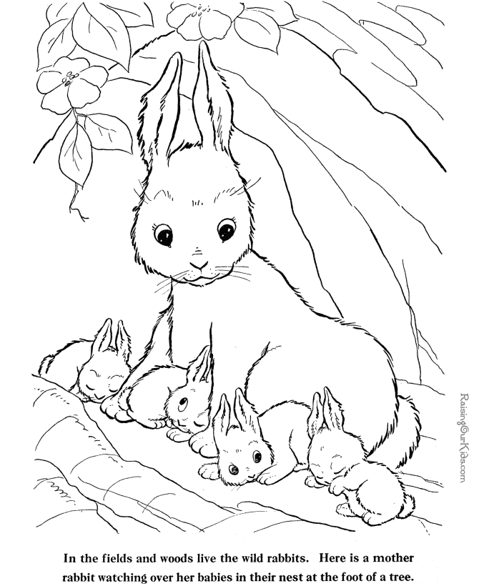 Rabbit coloring sheets - Farm Animals 019