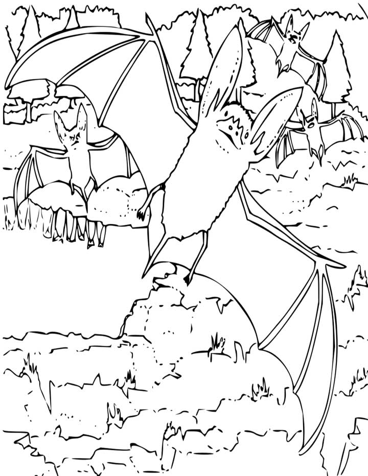 Free Halloween Printables Coloring Pages Free Coloring Pages 2014 