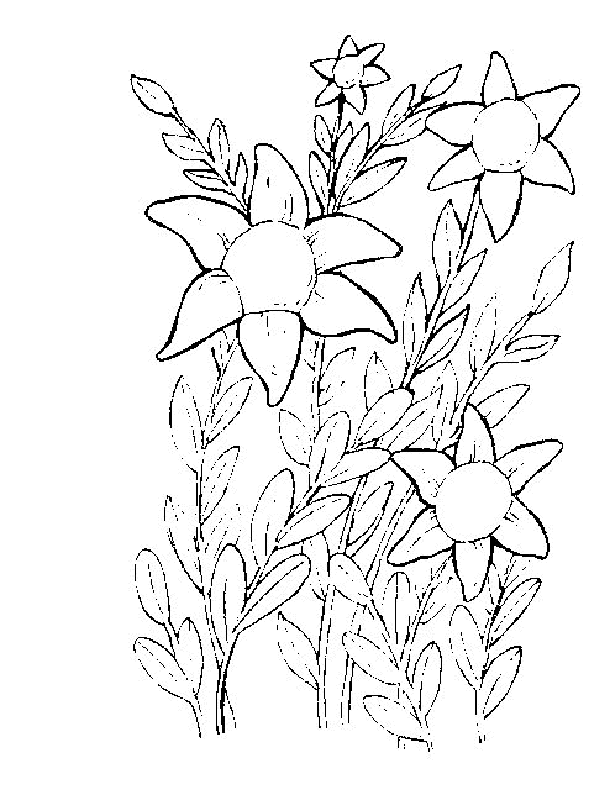 Flower Coloring Pages 9 | Free Printable Coloring Pages 