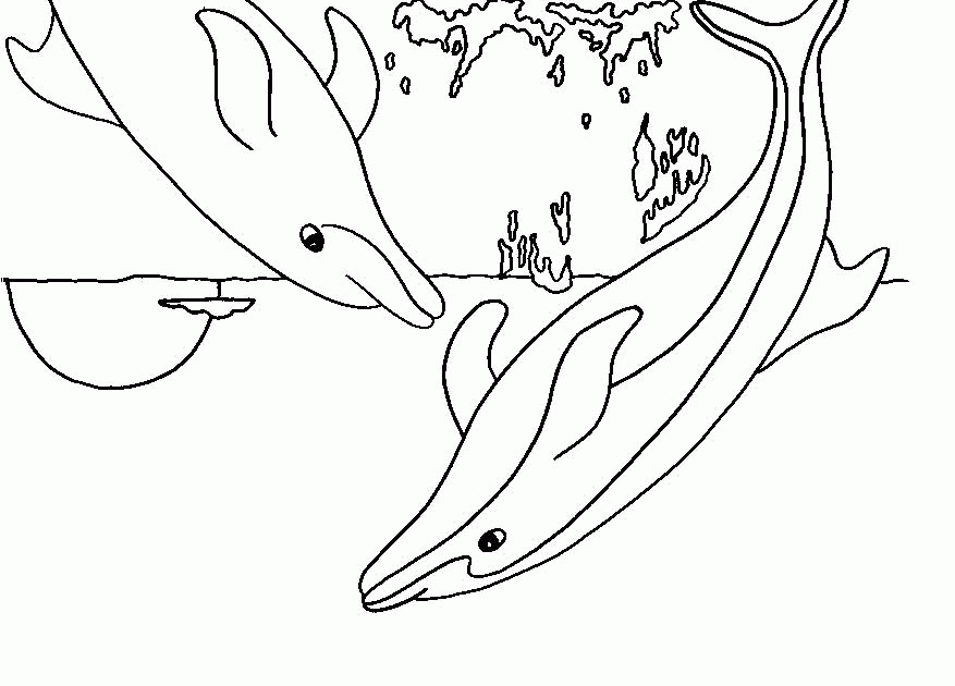 Dolphin Coloring Pages | Coloring Pages To Print