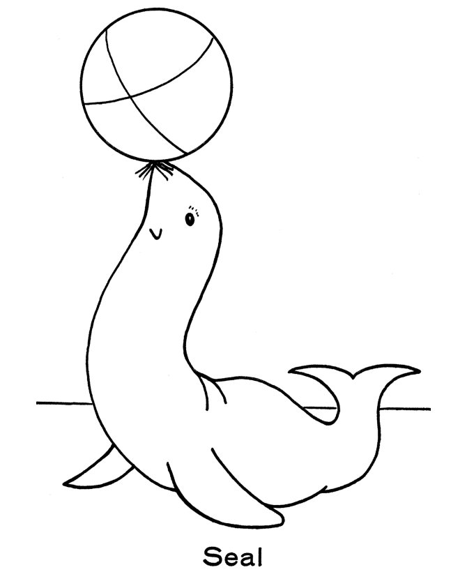 Zoo Animal Coloring Pages | animals coloring pages | #8 | Color 