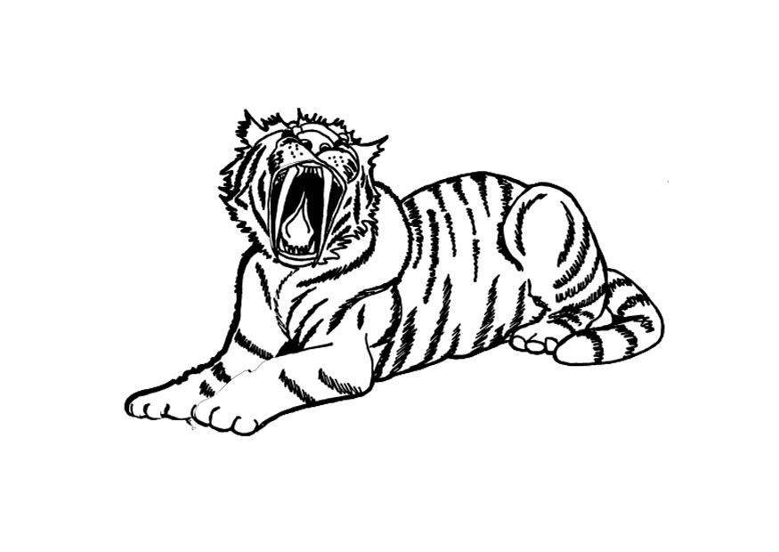 Animal Coloring Free Printable Coloring Page Running Tiger 