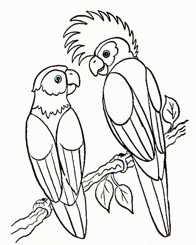 Download Bird Coloring Page Parrots Or Print Bird Coloring Page 