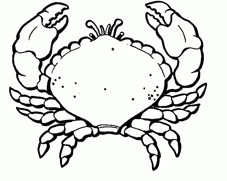 Animal Coloring Kids Free Crab Animal Coloring Page To Print For 