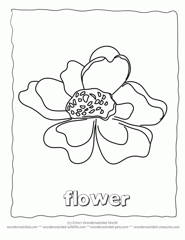 ed flower Colouring Pages
