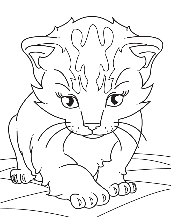 Print Kittens Coloring Pages : Download Kittens Coloring Pages 8 