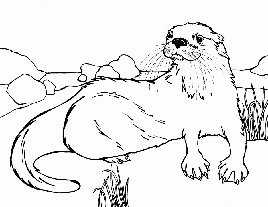 Otter Coloring Pages 88118 Label Baby Otter Coloring Pages 232365 