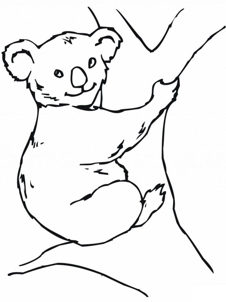 Free Printable Koala Coloring Page For Kids | Coloring Pages