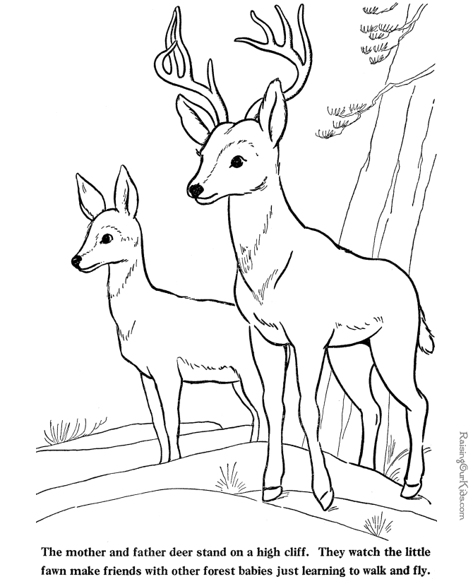 hunting coloring page - Quoteko.com