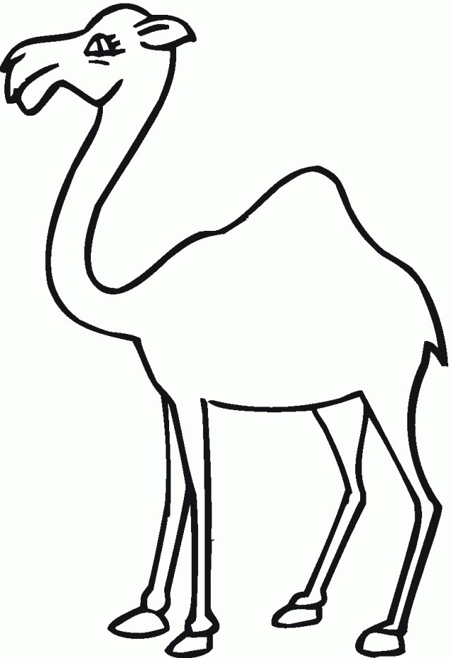 Camel 18 Coloring Online Super Coloring 280052 Camel Coloring Page