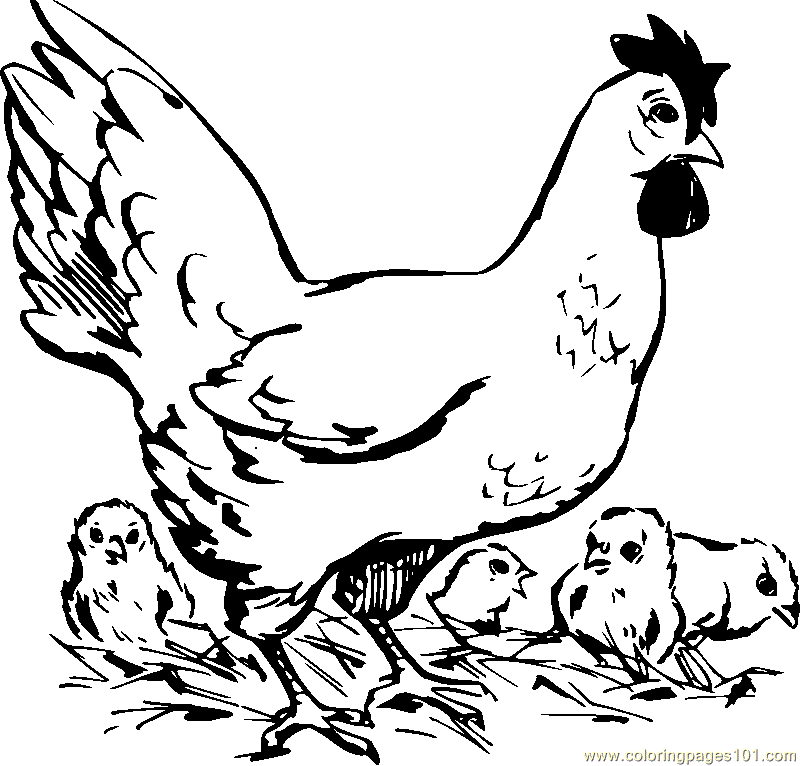 Bookmark of hens Colouring Pages