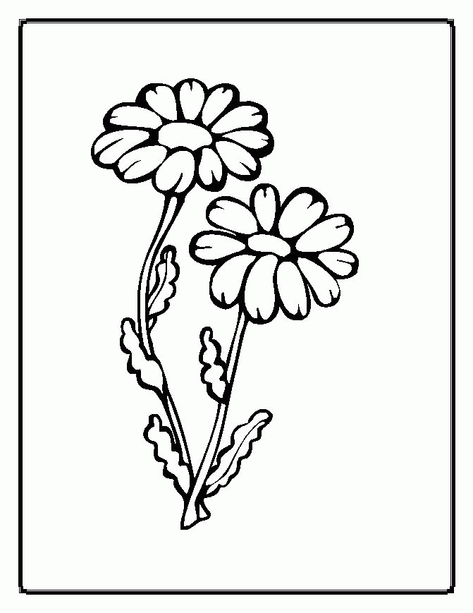 nice two flower coloring pages « Printable Coloring Pages