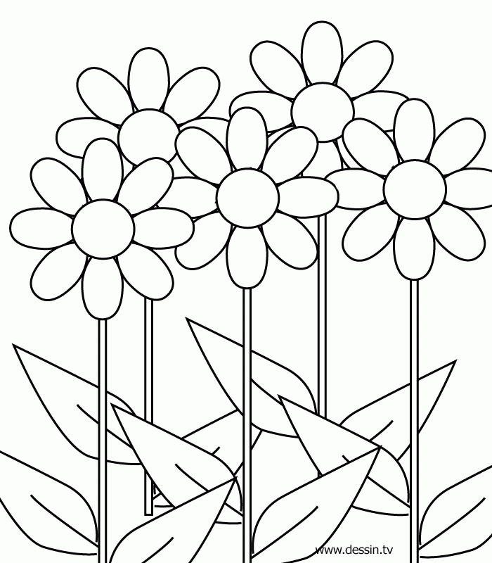 Coloring Pages Of A Flower Pot