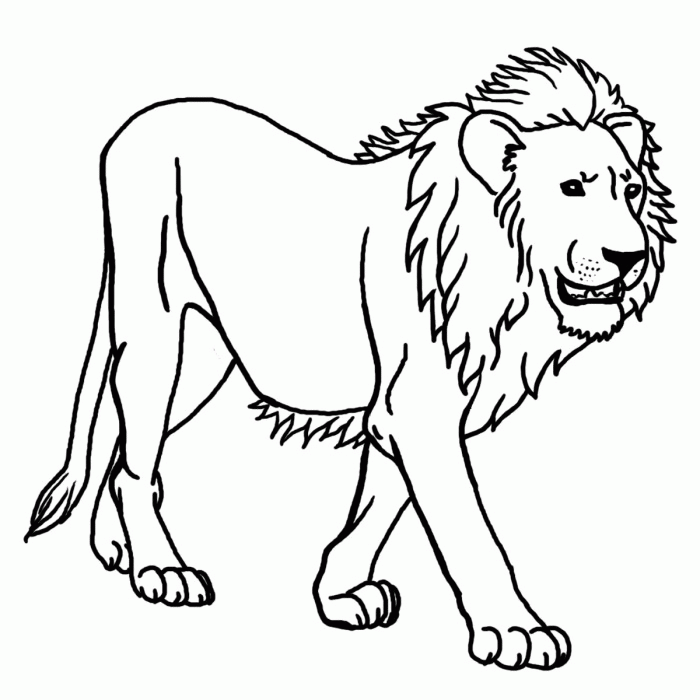 Lion Coloring Book Pages