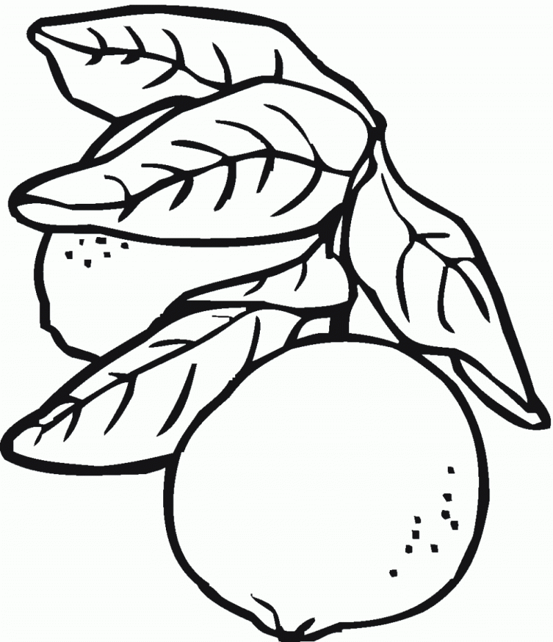 lemon coloring pages for kids