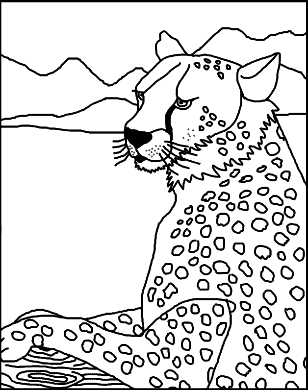 2014 cheetah coloring sheets