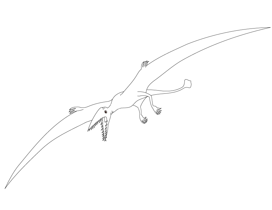 Pterodactyl Flying Dinosaur Coloring Page | Free Printable 