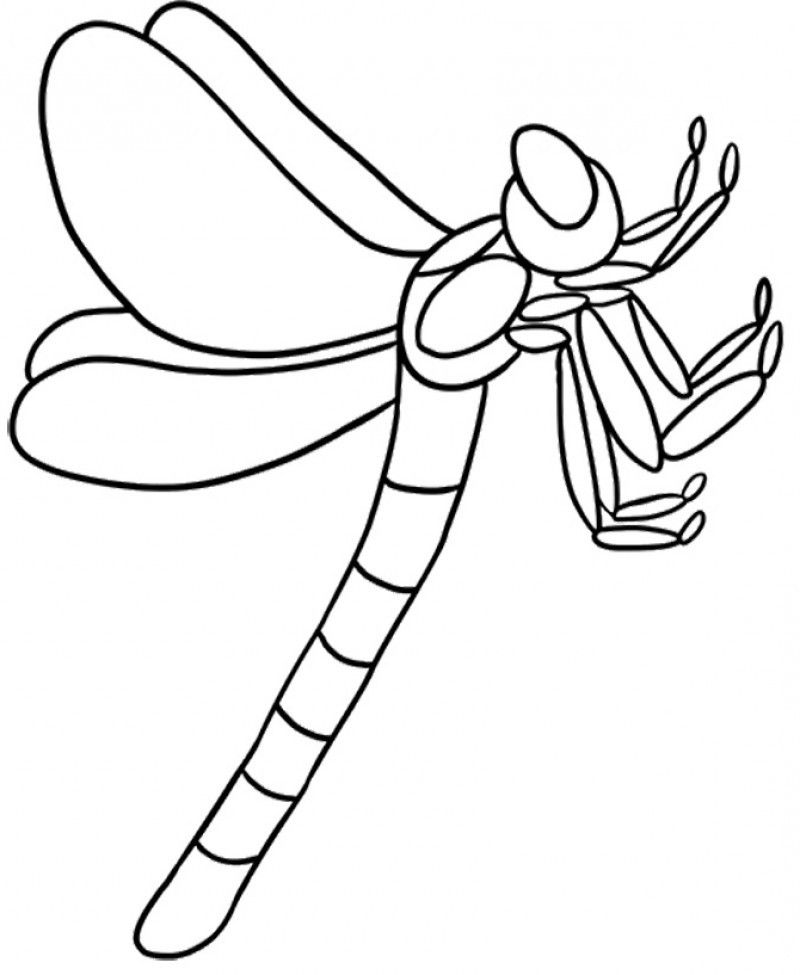 Dragonfly Attractive Coloring Pages - Kids Colouring Pages