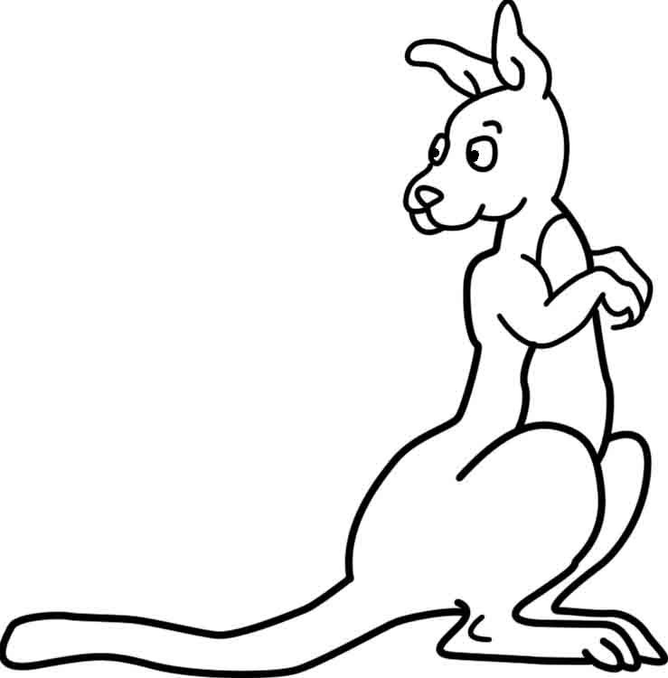 Download Kangaroo Pictures To Color Coloring Home