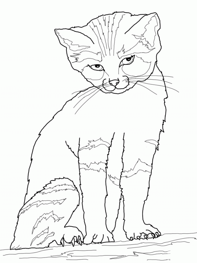 Cat Coloring Book Coloring Pages Hello Kitty Coloring Pages For 