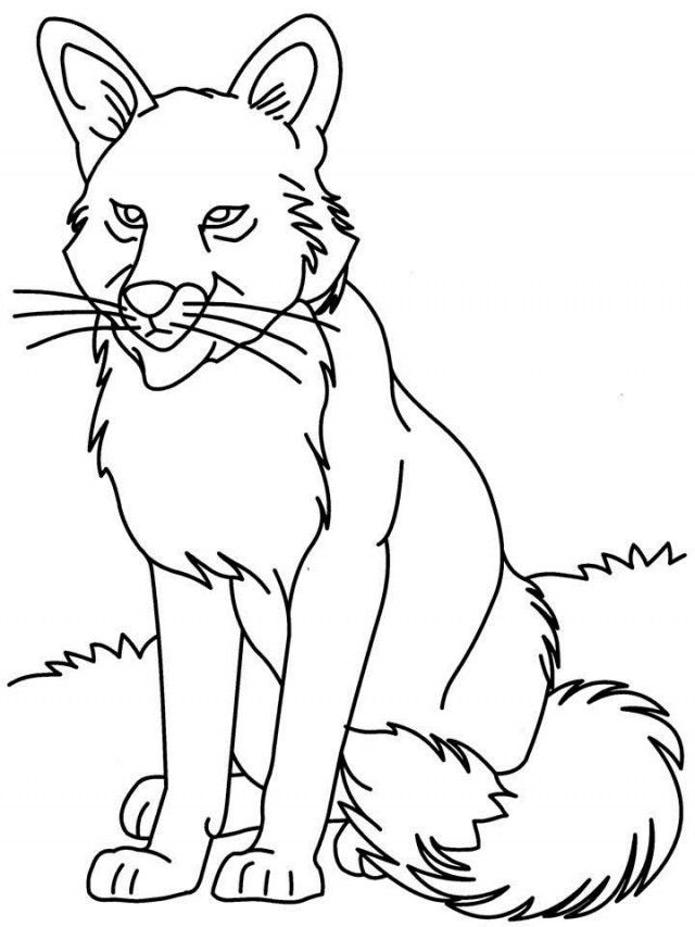 free wolf coloring pages for kids | Great Coloring Pages